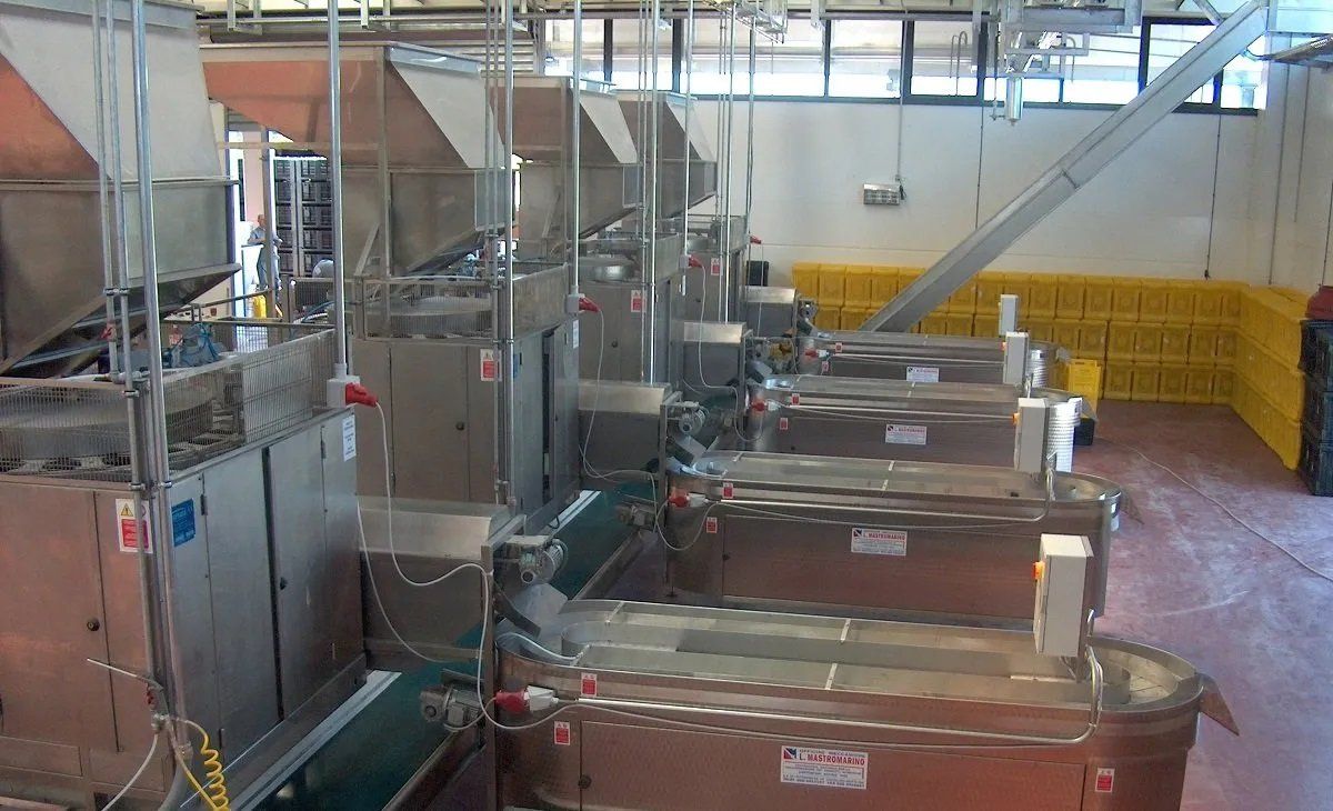 Impianti per settore agroalimentare