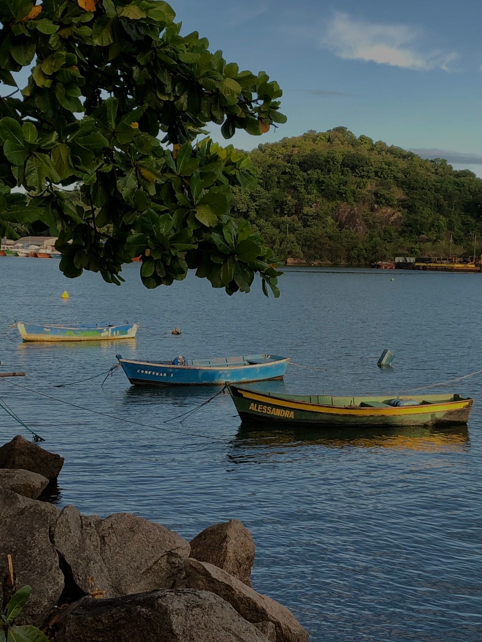 Un grupo de barcos flotan en un cuerpo de agua.