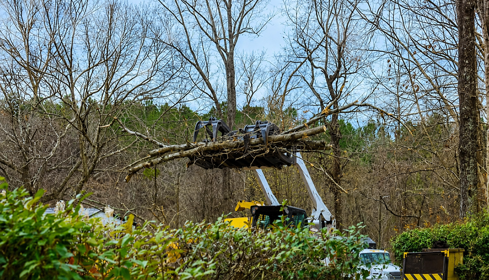 Yellow excavator lifting a large fallen tree branch in a wooded area