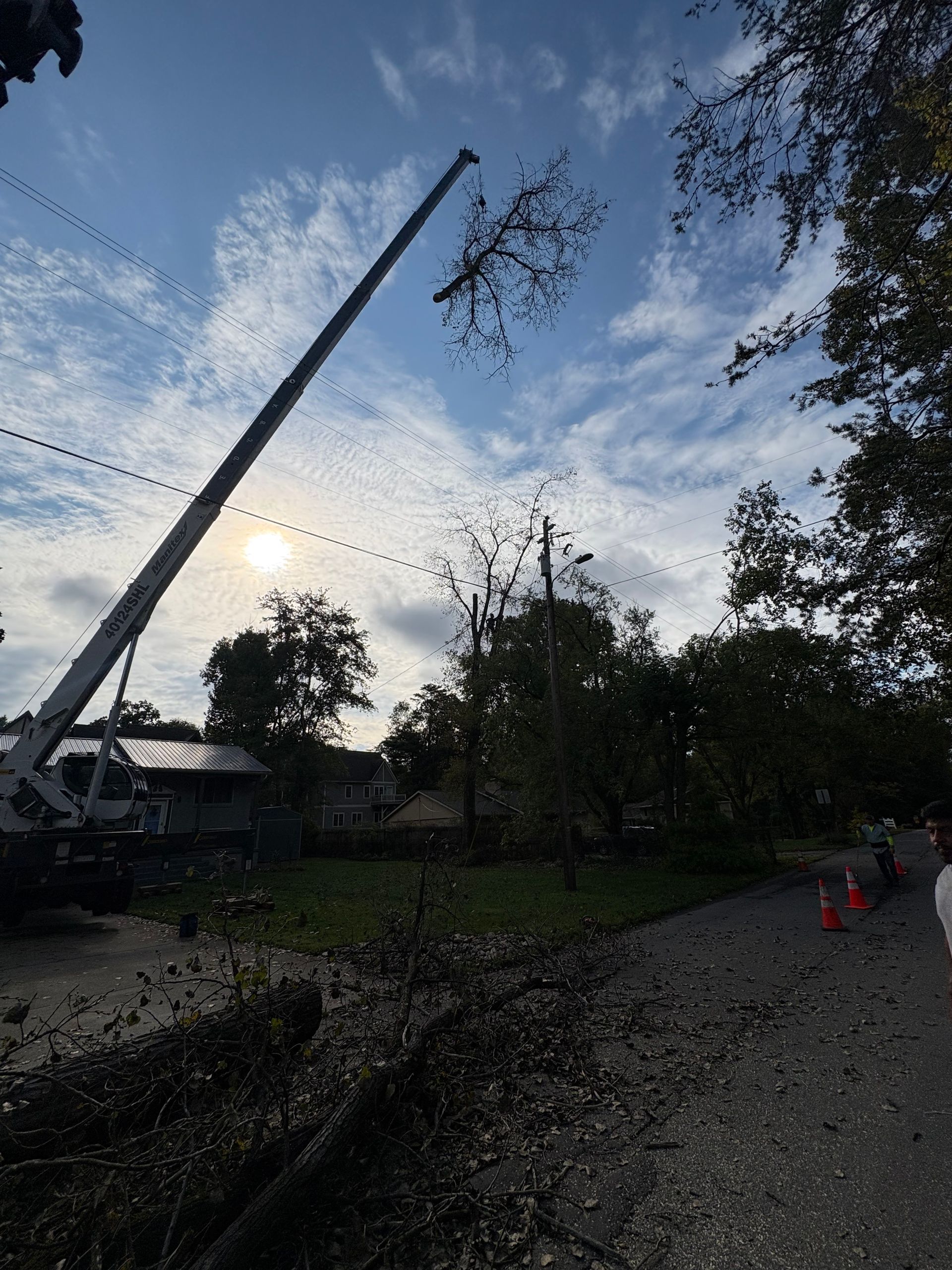 Utility pole being raised at dusk beside a road, with workers and orange cones.