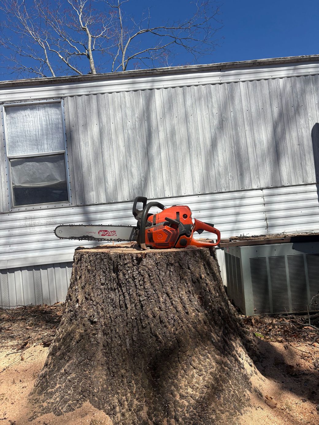 Orange chainsaw resting on a large tree stump beside a trailer under a blue sky