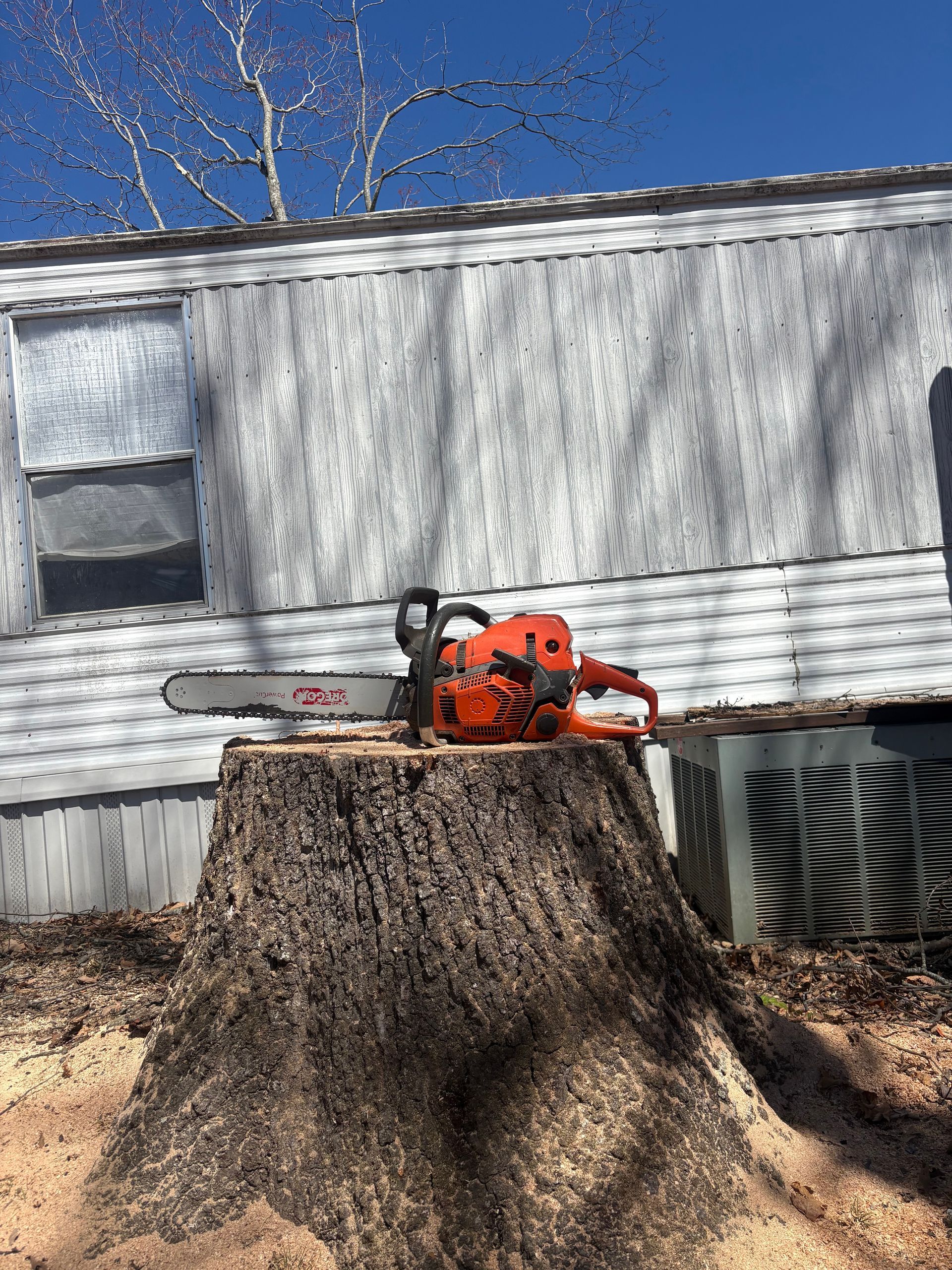 Orange chainsaw resting on a large tree stump beside a mobile home under a blue sky.