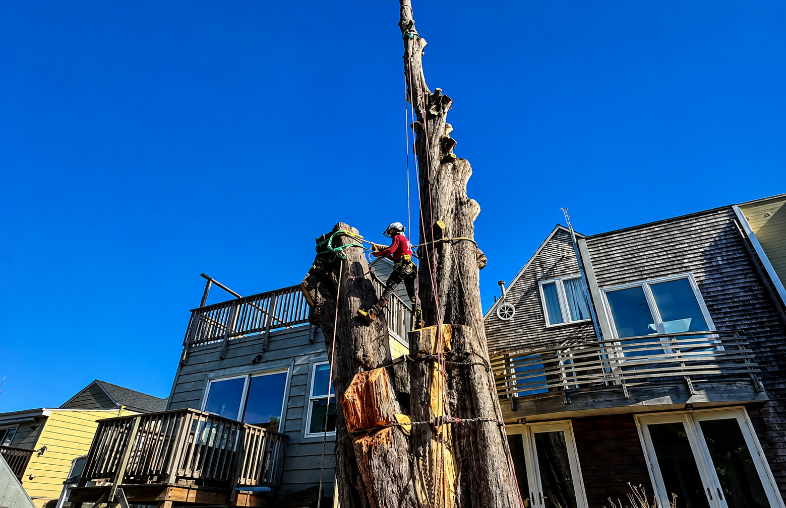Tree crew trimming a tall dead tree beside a weathered house under a blue sky