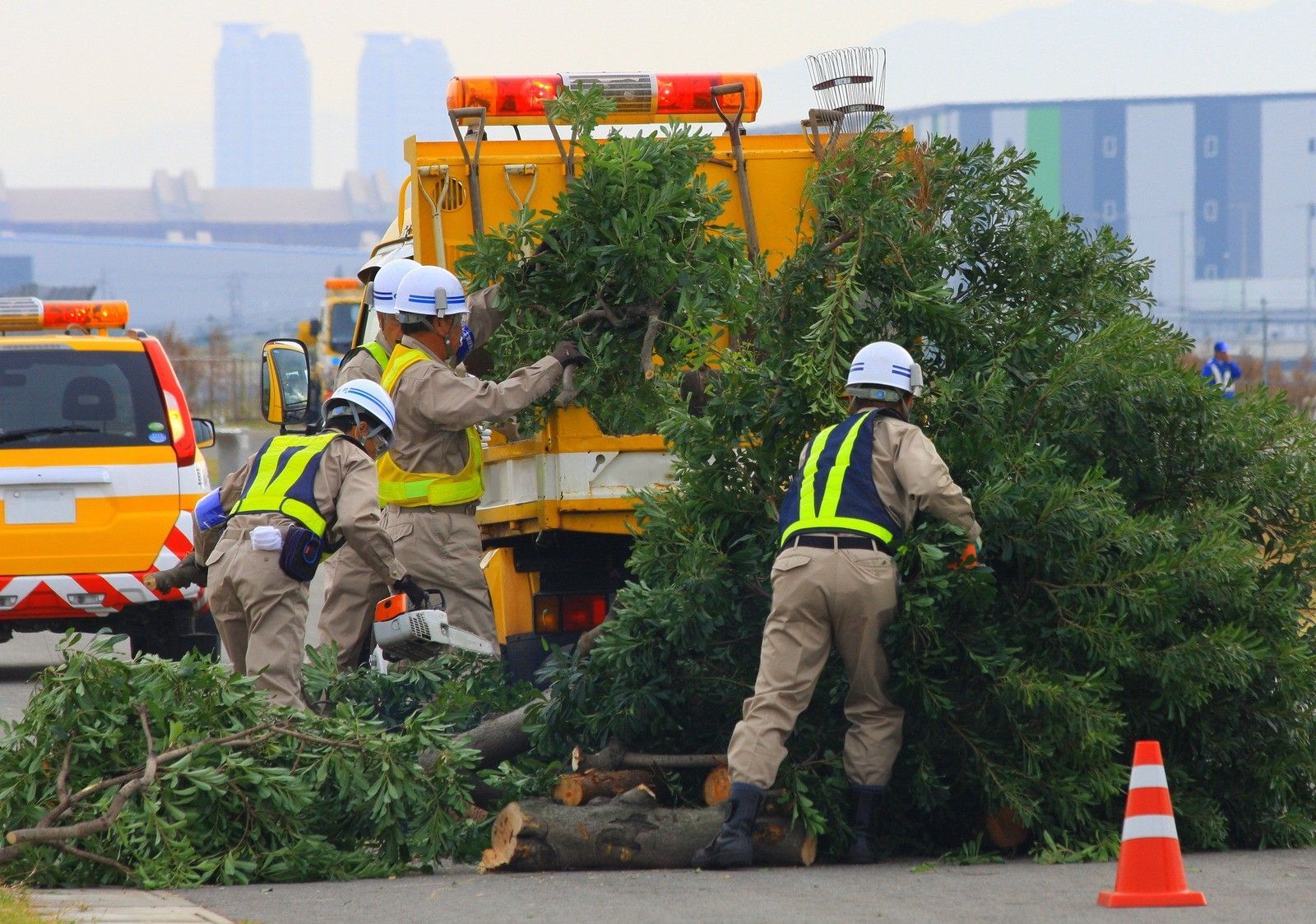 Workers in reflective vests clear a fallen tree beside an orange truck on a wet road.