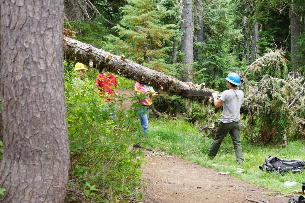 Two people in helmets move a fallen tree trunk on a forest trail.