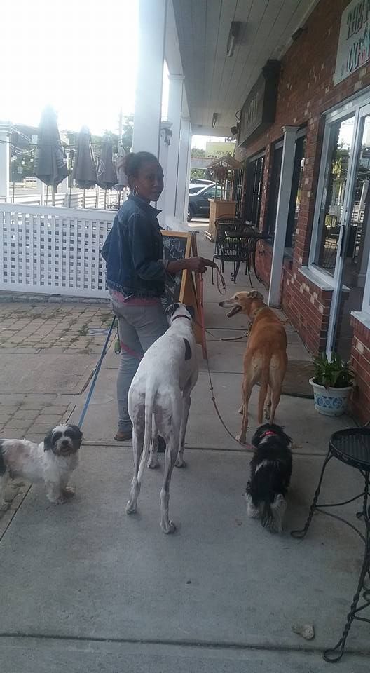 Dog owner scheduling services with The Furry Inn in Bridgeport.