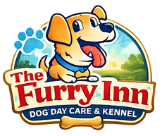Affordable overnight boarding services at The Furry Inn serving local pet owners.