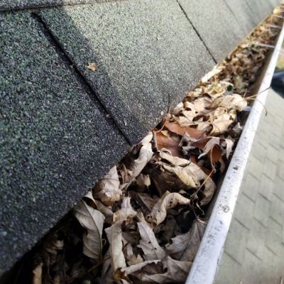 Gutter filled with dry leaves beside a roof edge and concrete walkway