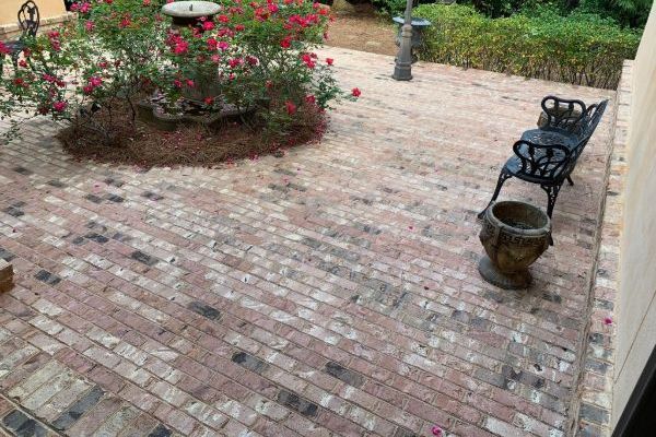 Brick courtyard patio with benches, a potted plant, and a flower bed beside a walkway