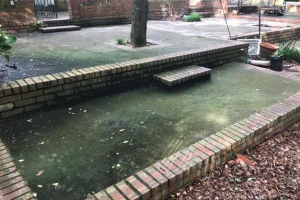 Brick-lined pond with green water and a small concrete step in a courtyard or park