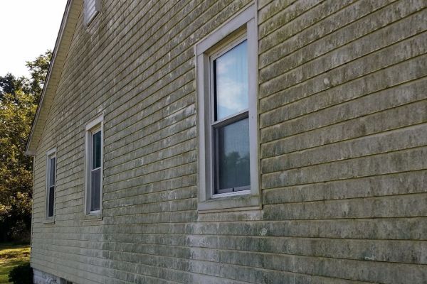 Side view of a house with beige siding and two windows in sunlight