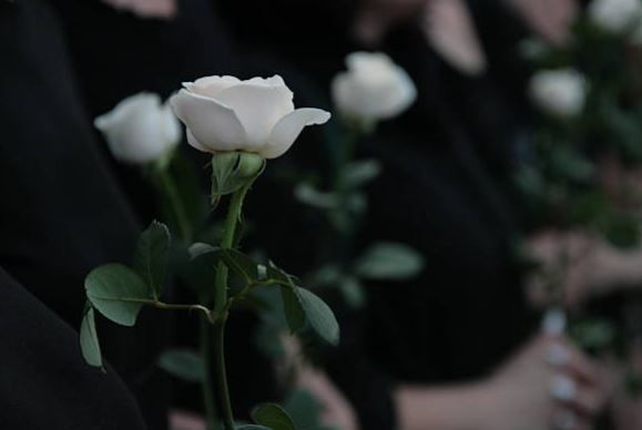 cremation services greenwood in