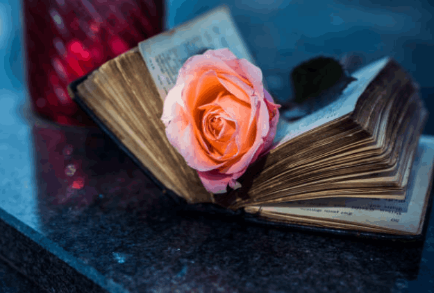 cremation services greenwood in