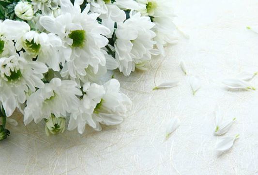 funeral homes greenwood in
