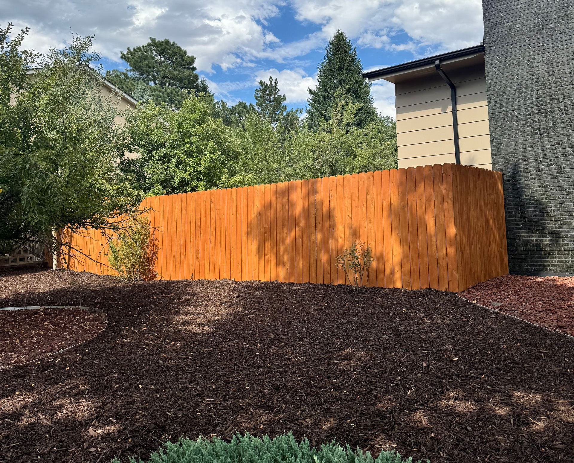 Backyard with orange wooden fence, dark mulch beds, and trees under a blue sky