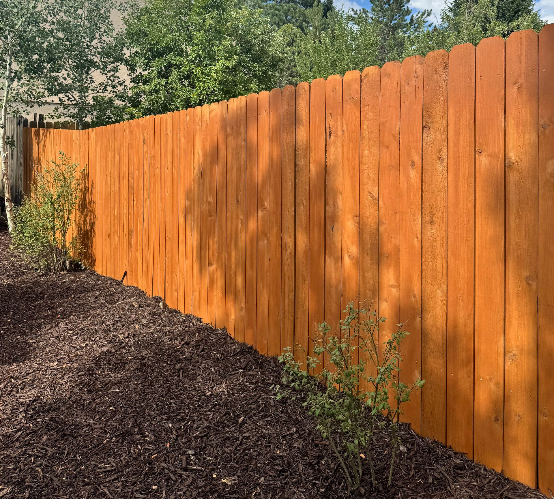 Freshly stained orange wooden fence lining a mulched garden path with trees in the background