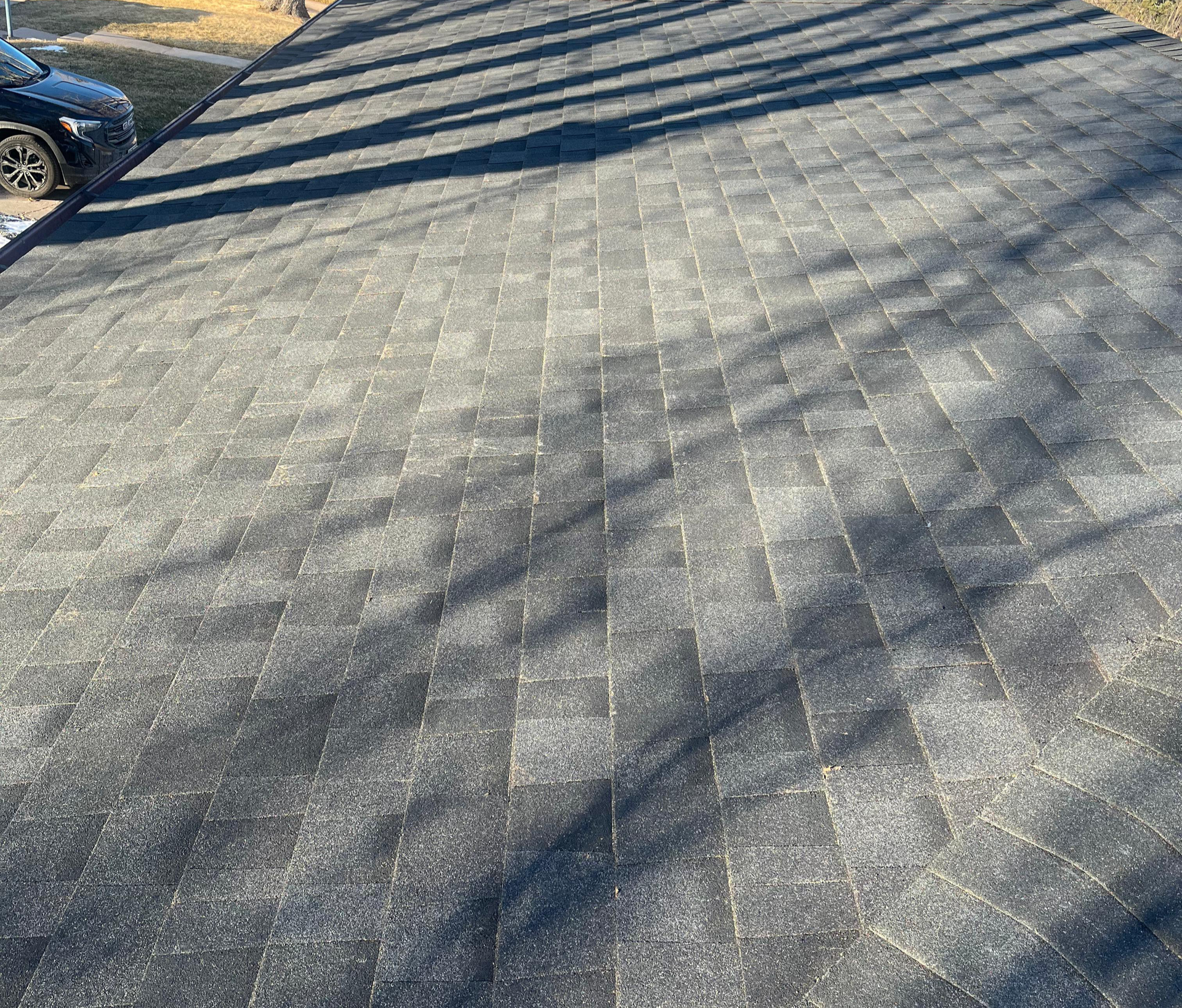 Sunlit paved road with tree shadows and a partial bicycle wheel at the top left.