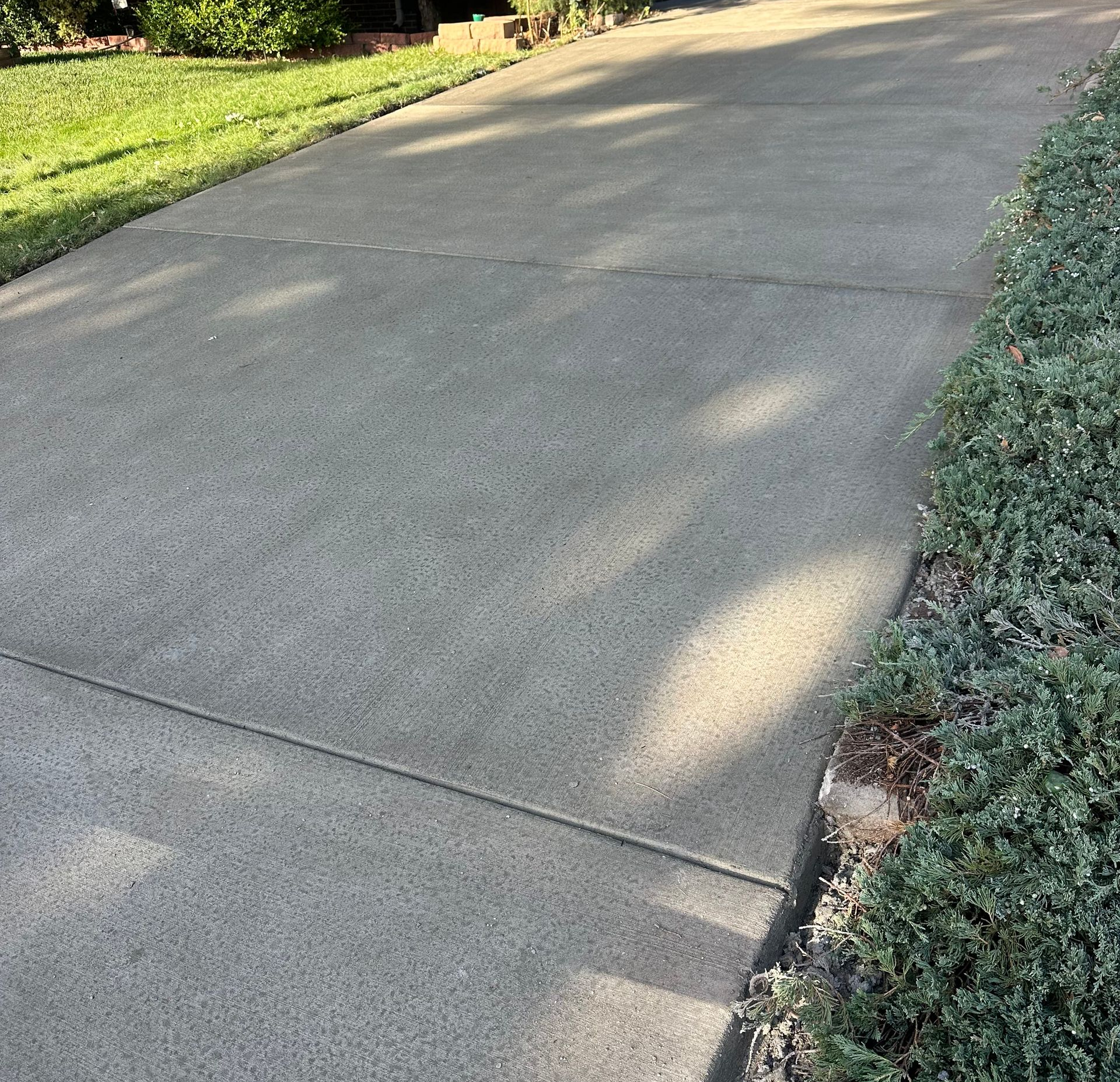 Concrete sidewalk beside a green hedge and lawn in bright sunlight