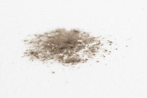Mold In The House | Richmond, VA | Walker & Frick Construction Mold In The House | Richmond, VA | Walker & Frick Construction