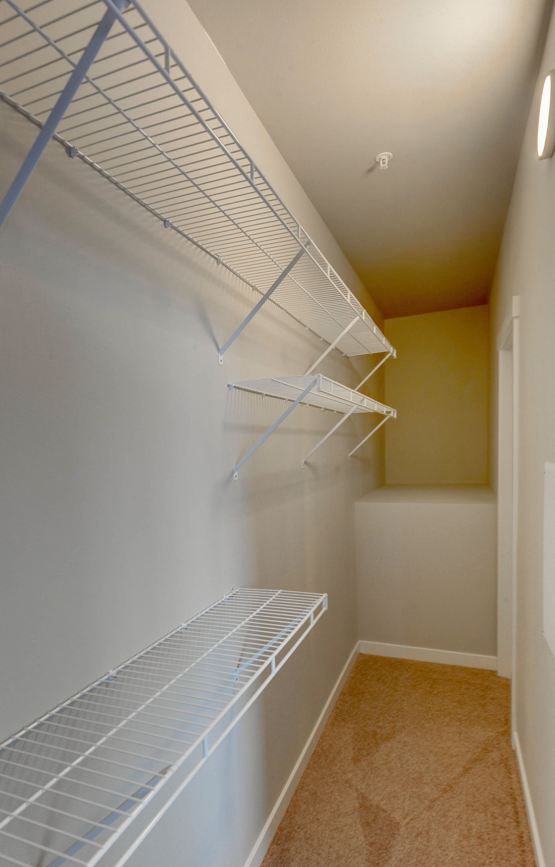 a walk in closet with shelves and a carpeted floor