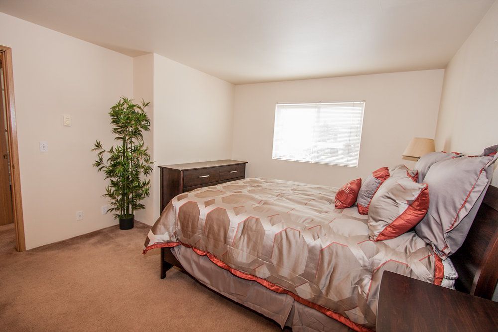 a bedroom with a bed dresser and a window