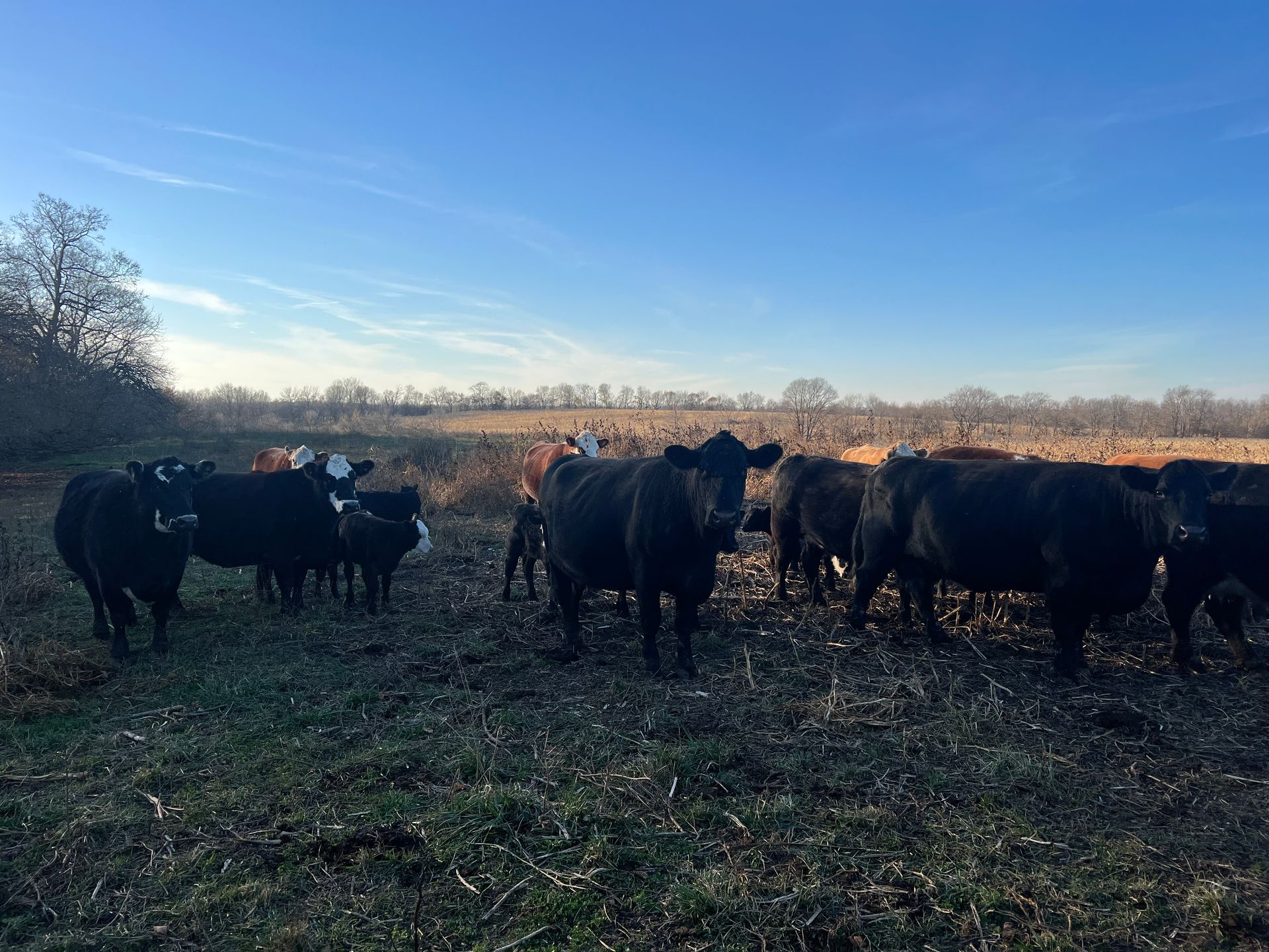 Farmers Market Connersville, IN 7652651442