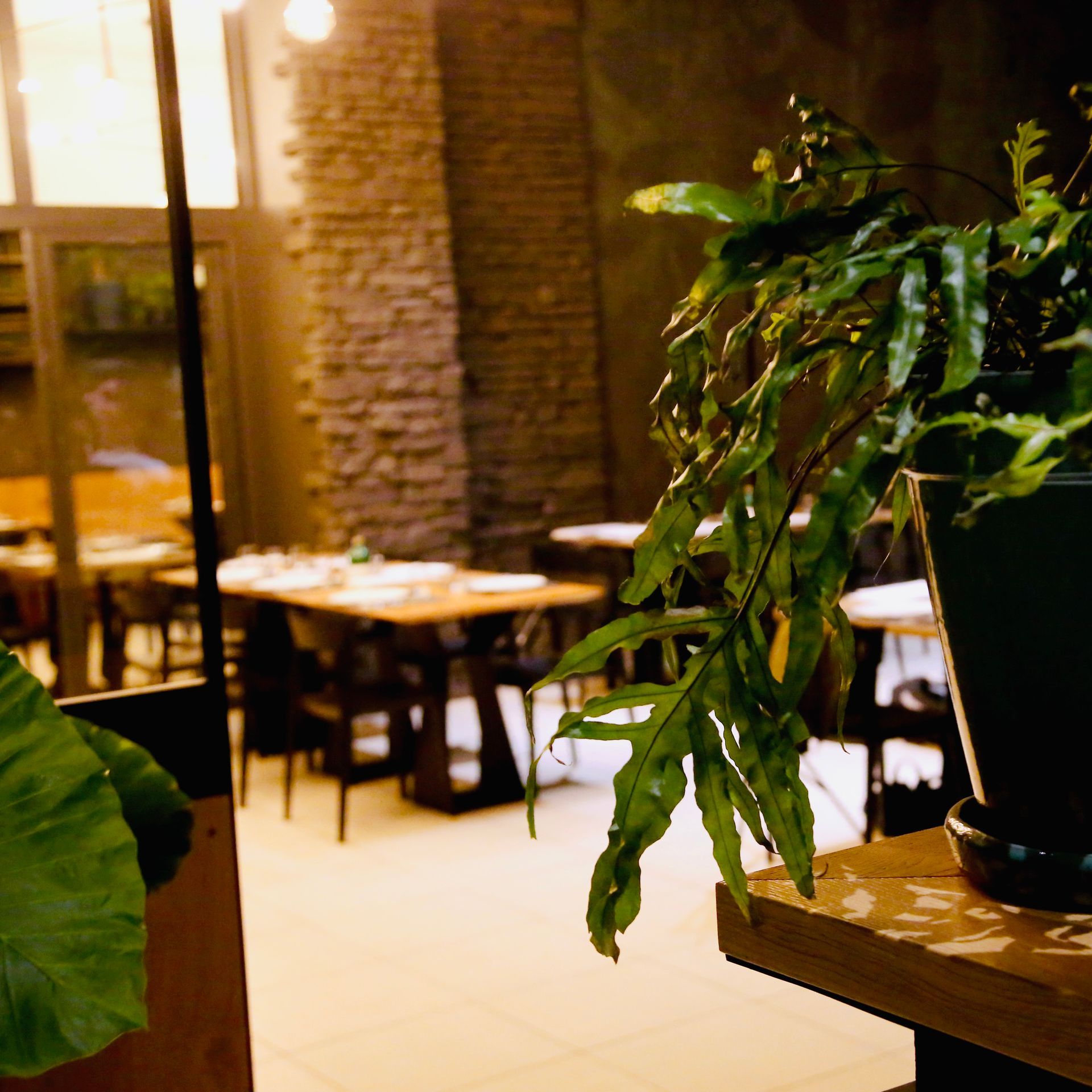 interno pizzeria