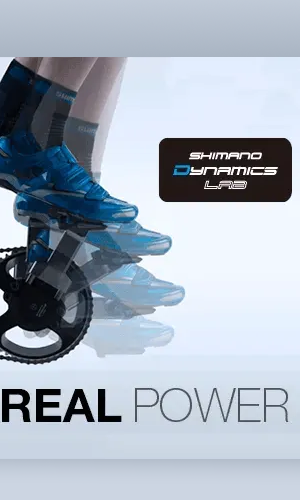 Bike Fit Singapore 