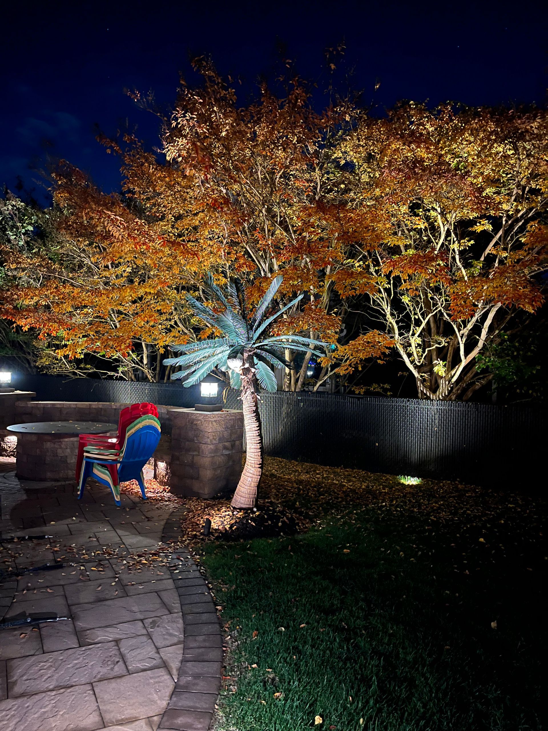 A tree in a backyard is lit up at night.