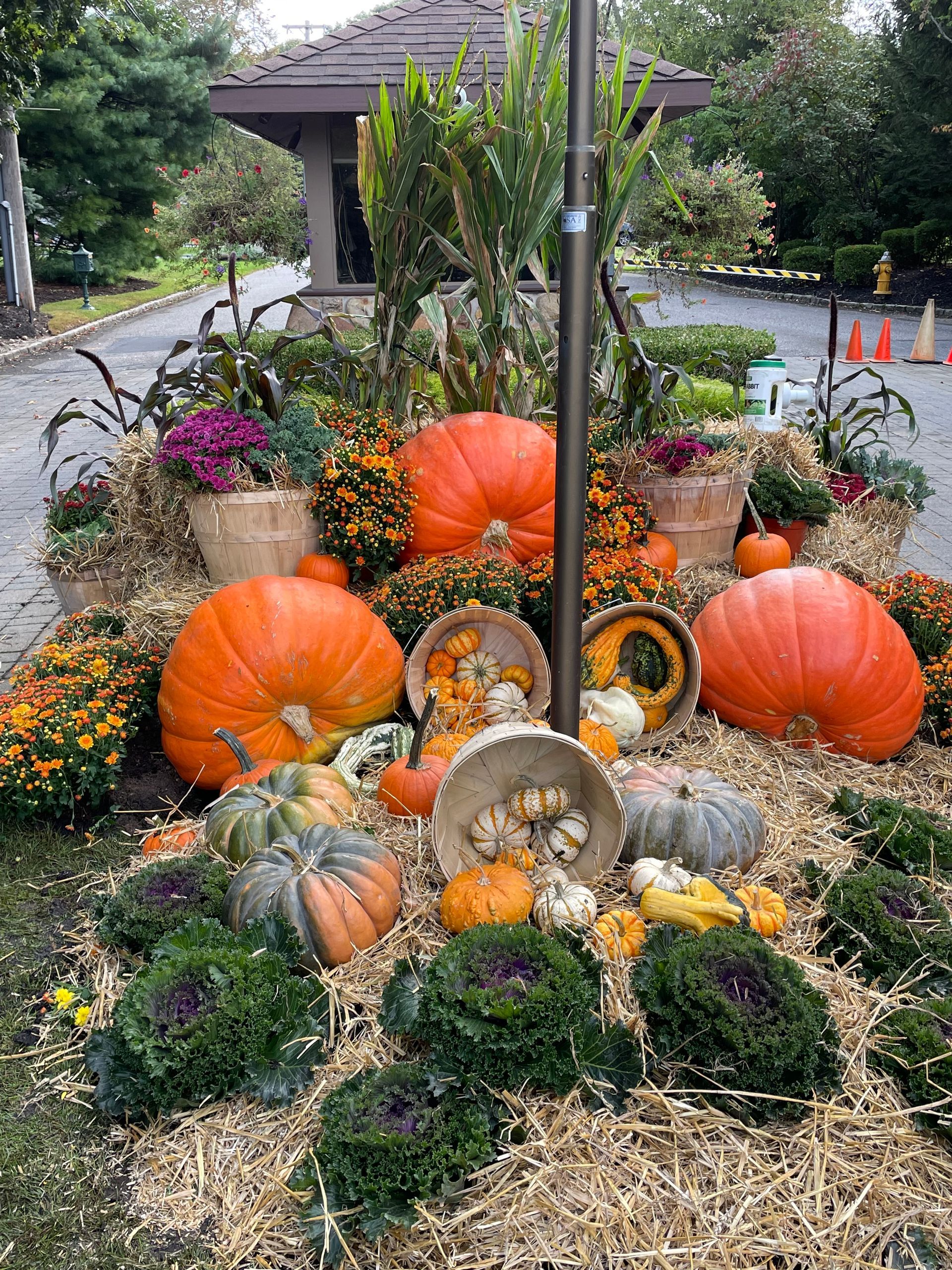 A bunch of pumpkins are sitting on top of a pile of hay.