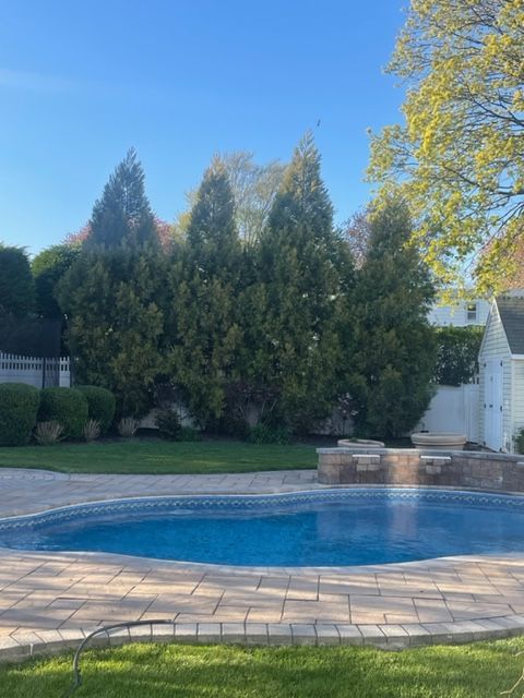 A large swimming pool is surrounded by trees in a backyard.