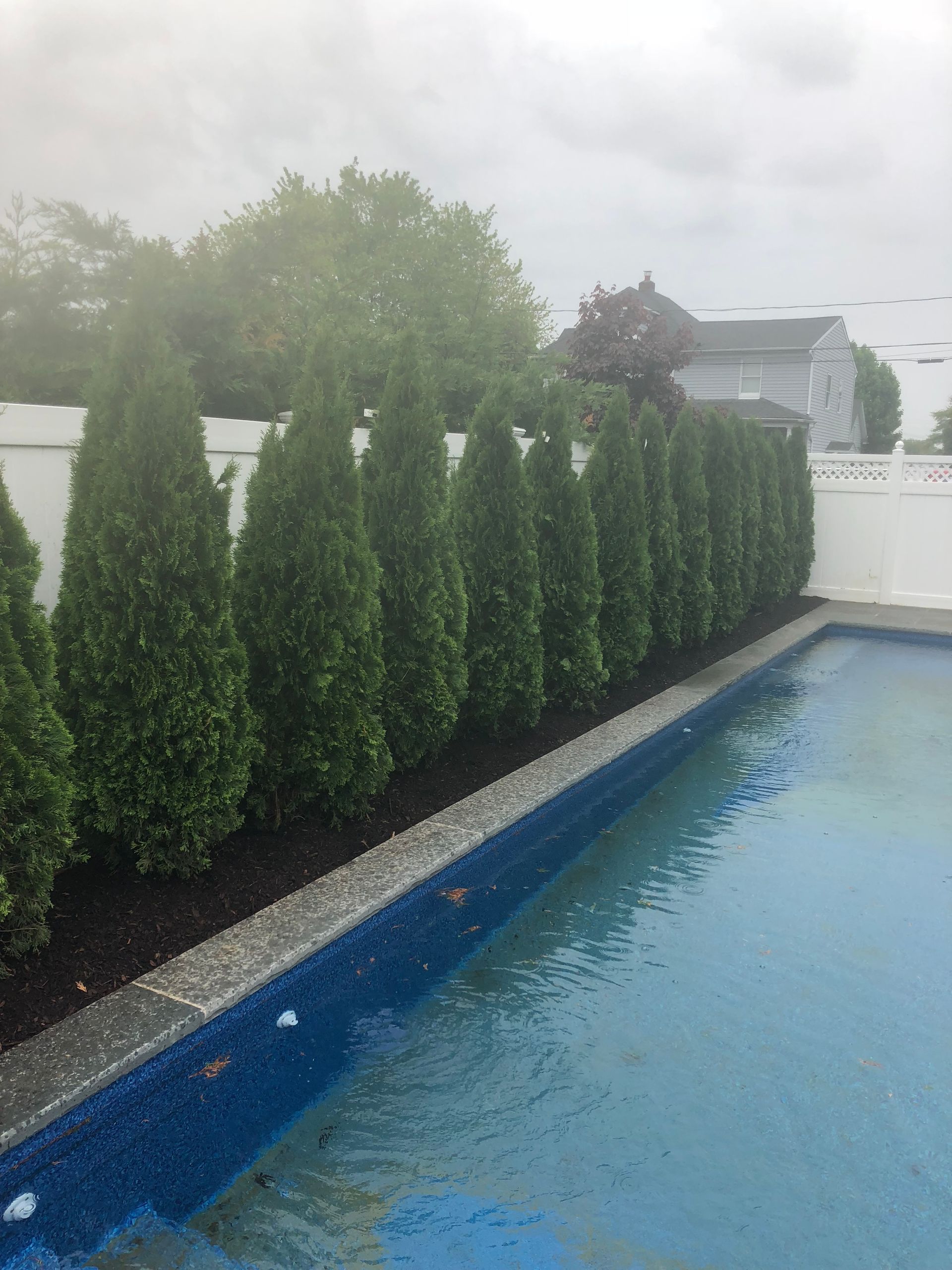 A swimming pool surrounded by trees and a white fence.