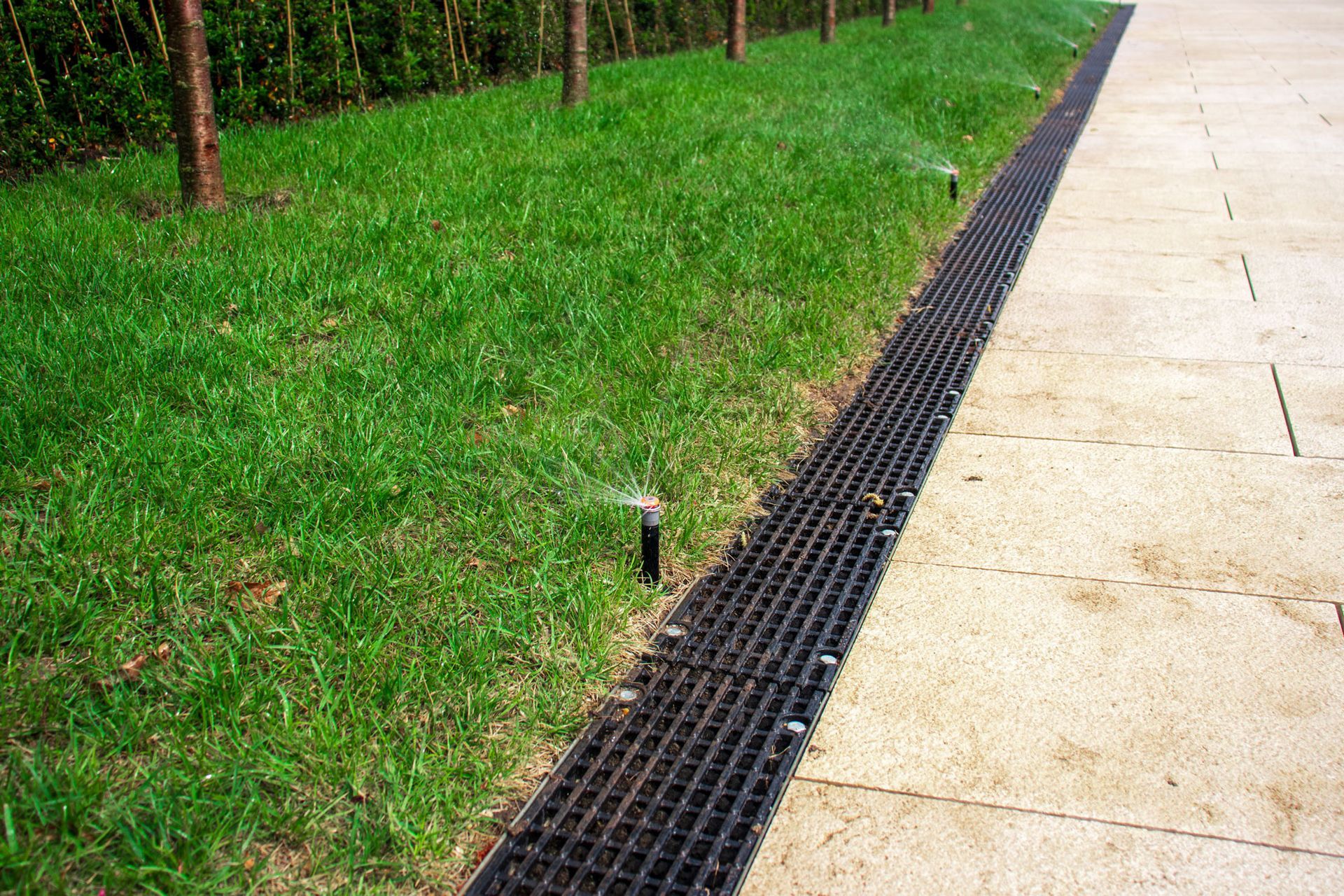There are sprinklers on the grass next to a drain.