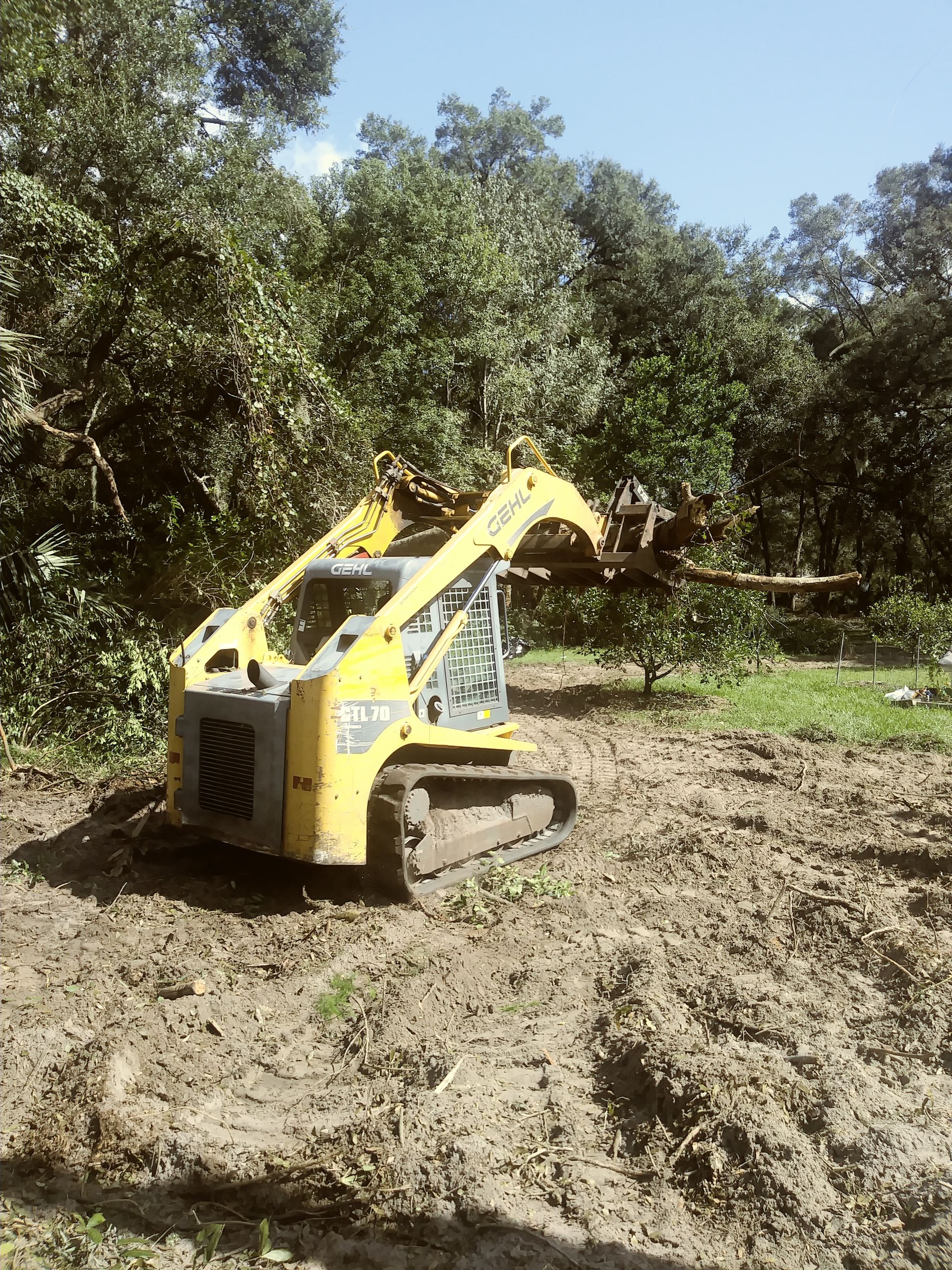 Bobcat Services and Underbrush Clearing for Code Violations