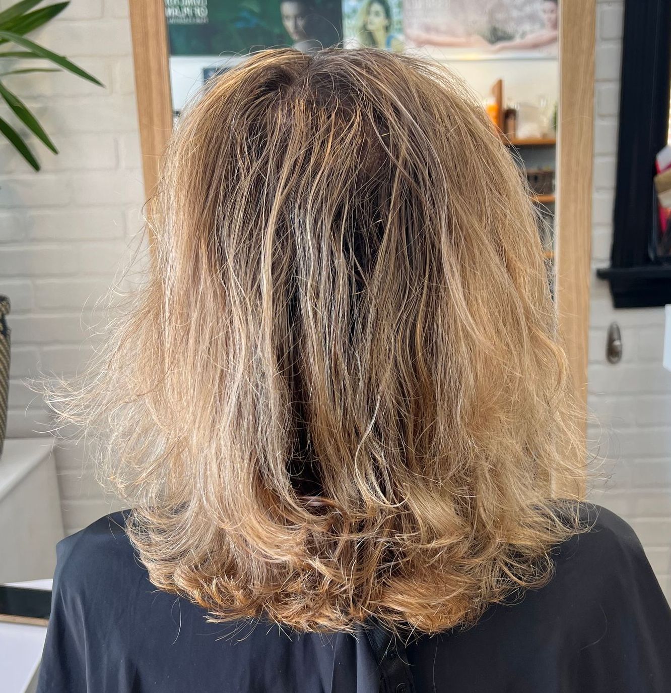 Hair before Blonde Balayage