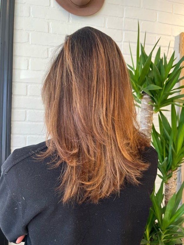 organic hair color and highlights
