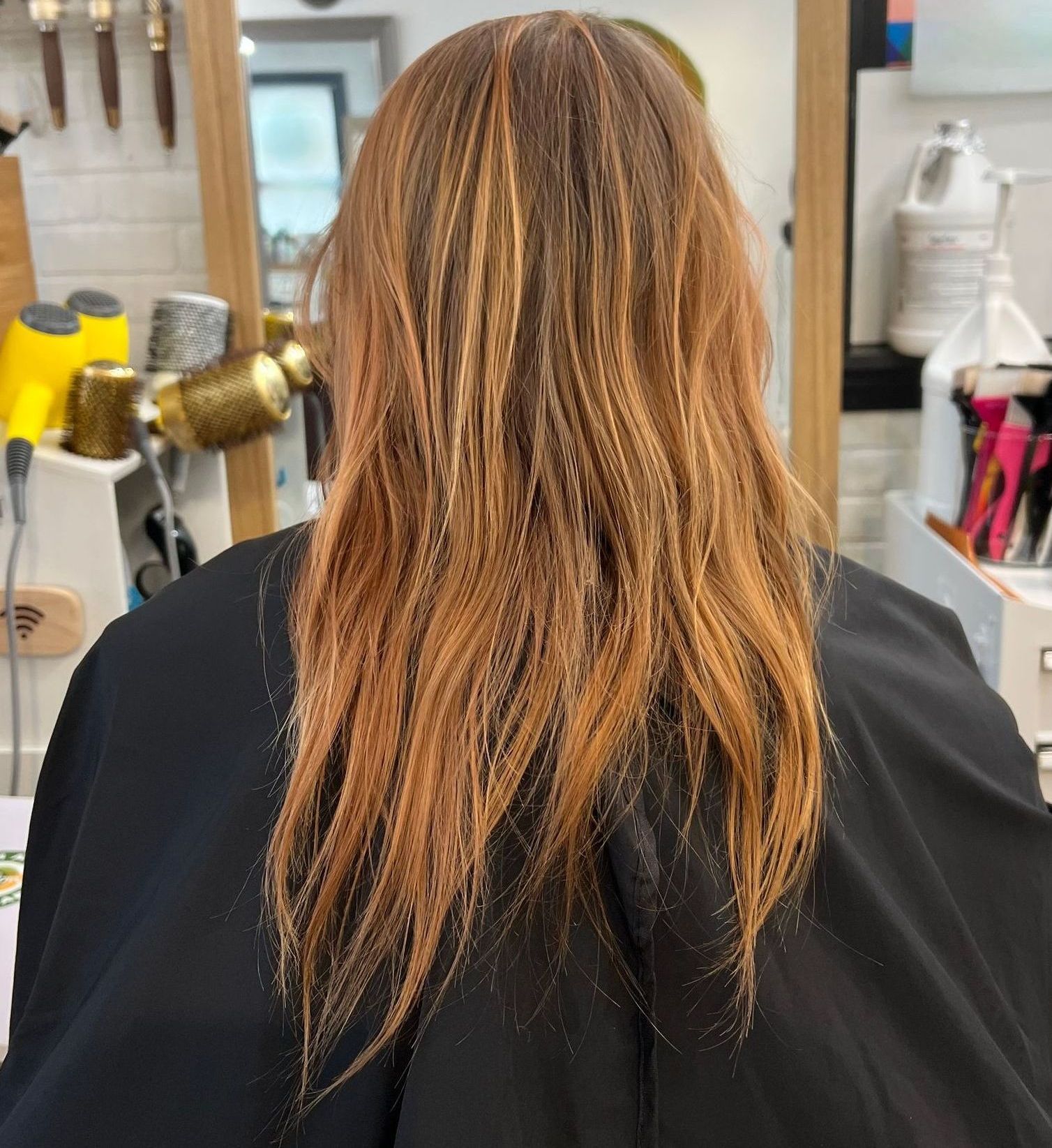 hair before highlights