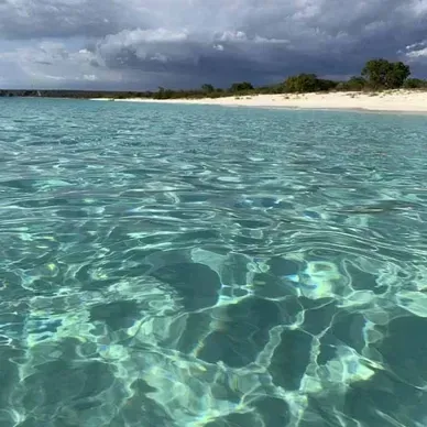 A close up of a body of water with a beach in the background.