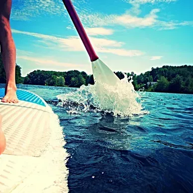 A person on a paddle board with a paddle in the water