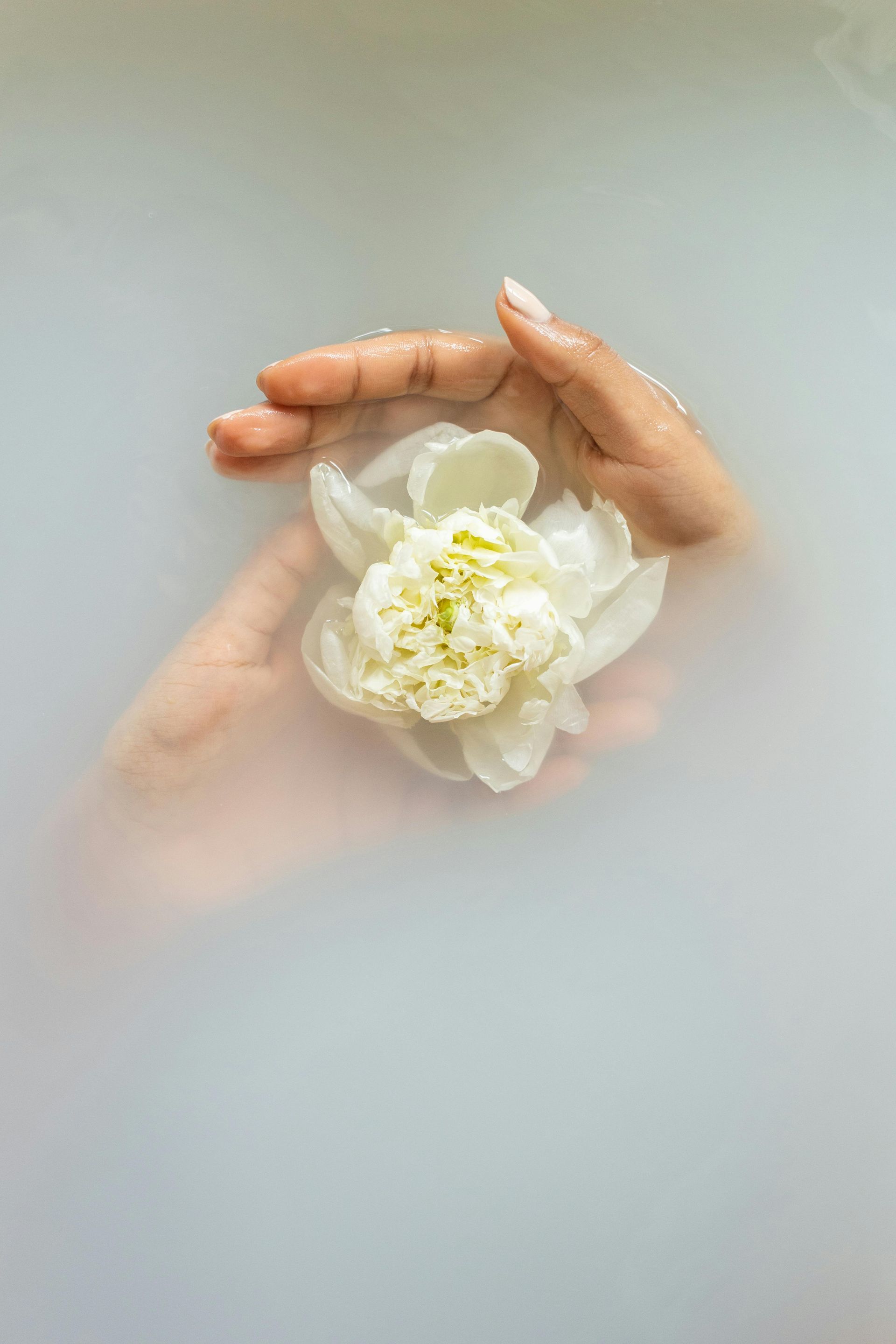 Mani che tengono in mano un grande fiore bianco immerso nell'acqua lattiginosa.