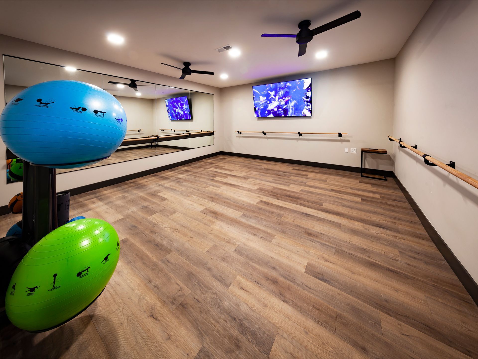 A workout studio with wood floors, a large wall mirror, ballet bars, a wall-mounted TV, and exercise balls in the foreground.