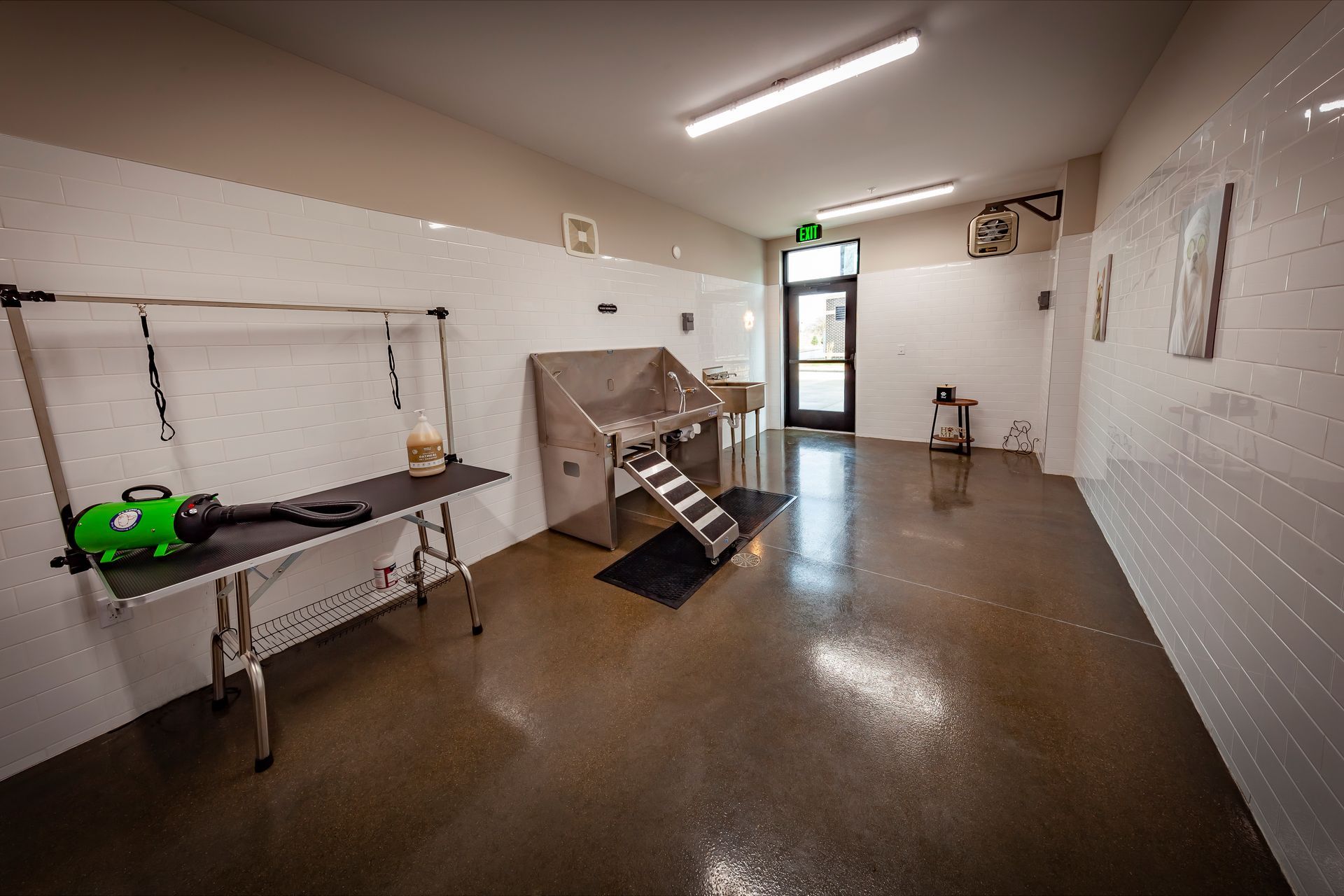 A clean pet grooming room with a table, green dryer, and a stainless steel bathtub with steps on a glossy concrete floor.