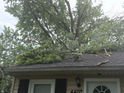 Tree fallen across a house roof above a front window and door