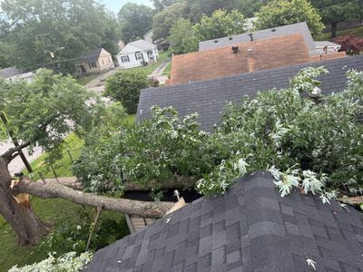 Broken tree limb over rooftops after storm, with leaves and shingles in a residential neighborhood