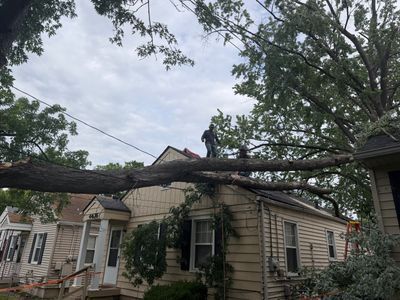 Tree fallen across a beige house roof after storm damage, with damaged power lines and overcast sky.