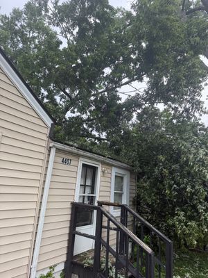 A small beige house with white trim, a black railing ramp, and trees overhead.