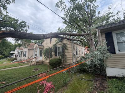 Tree fallen across yard and sidewalk, leaning onto a house with sagging power lines in a residential neighborhood