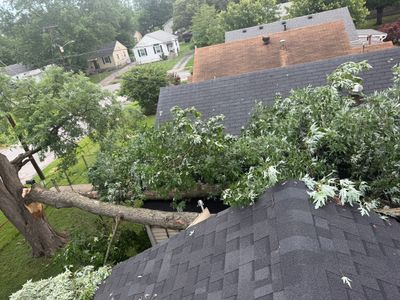Fallen tree limb across shingled rooftops in a leafy suburban neighborhood