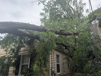 Large tree fallen across a house roof, with branches covering the front porch and siding.