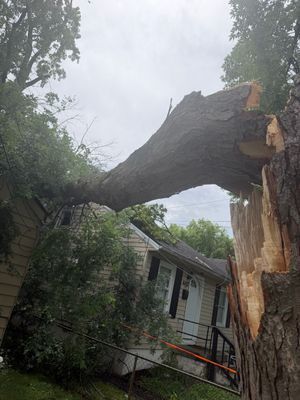 A fallen tree trunk rests across a house roof amid storm damage and debris.